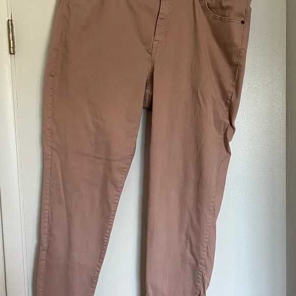 Lane Bryant Dusty Rose Jeans - Picture 3 of 5